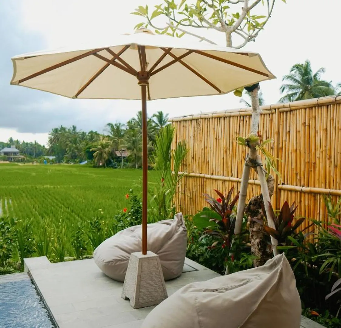 Uma Rimbun Pool Villa By Uniquecations Ubud  Indonesia